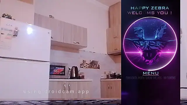 HappyZebra13 online show from 12/12/24, 09:08