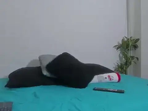 Snapshot of Liah_ferrer chatting on 01/15/25, 08:37 Liah ferrer online show from 01/15/25, 08:37