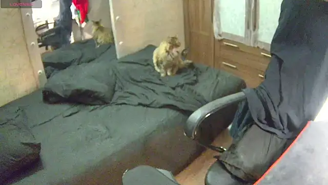 Snapshot of Julia_dolls chatting on 12/14/24, 07:03 Julia dolls online show from 12/14/24, 07:03