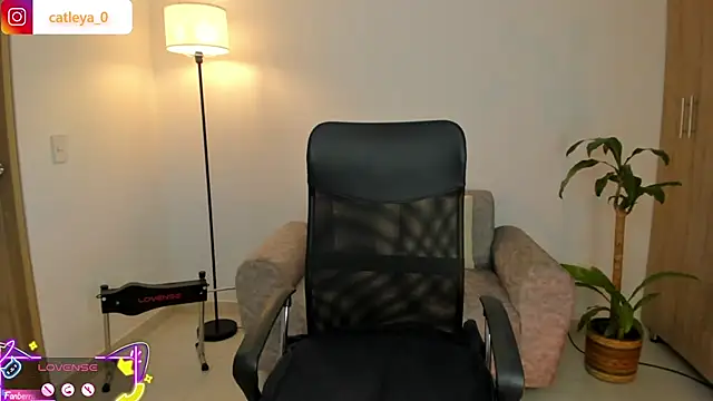 Snapshot of catleya_0 chatting on 02/15/26, 03:03 catleya 0 online show from 02/15/26, 03:03