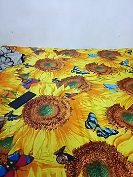 bhavanitelu online show from 12/28/24, 11:30