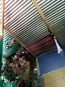 Snapshot of thamygomezz chatting on 09/09/25, 04:39 thamygomezz online show from 09/09/25, 04:39