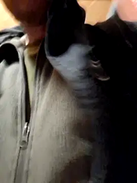 Romakappa1812 online show from 04/01/26, 06:38