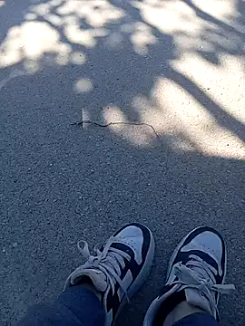 Eleni Pappa online show from 05/05/26, 02:25