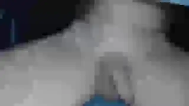 cs1512 online show from 02/13/25, 06:38