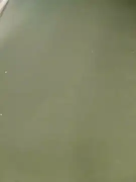 Snapshot of Miss_balloonsmila chatting on 01/22/25, 09:54 Miss balloonsmila online show from 01/22/25, 09:54