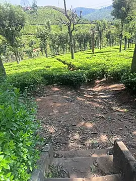 Hillz king 98 online show from 02/28/25, 03:37