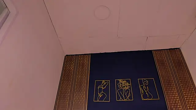  dakota a online show from 01/08/25, 09:44