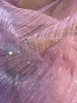 honeyboobies7249 online show from 01/14/26, 06:46