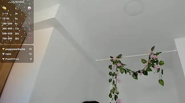 Snapshot of Ninna--1 chatting on 01/12/25, 06:49 Ninna--1 online show from 01/12/25, 06:49