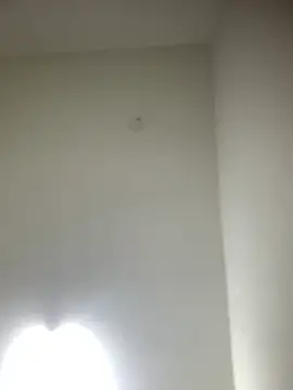 Snapshot of bidex002 chatting on 05/15/26, 10:50 bidex002 online show from 05/15/26, 10:50
