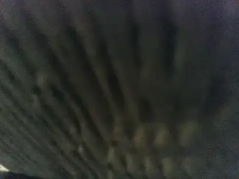 Snapshot of party51502 chatting on 03/08/25, 07:20 party51502 online show from 03/08/25, 07:20