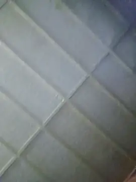 zaneporter46 online show from 02/05/26, 06:12