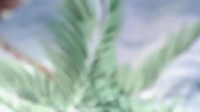 andy dan18 online show from 05/18/26, 06:08