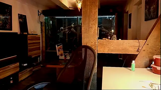 Snapshot of DYasmin69 chatting on 11/01/25, 08:55 DYasmin69 online show from 11/01/25, 08:55