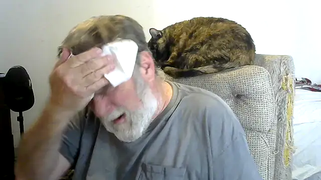 viejo oso online show from 01/31/26, 11:14