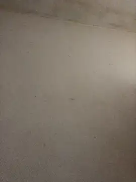 BELLAMORGANE1 online show from 11/02/25, 09:22