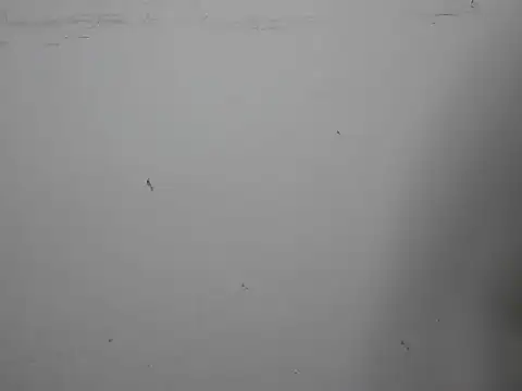 Snapshot of GoddessGlide chatting on 03/16/25, 11:16 GoddessGlide online show from 03/16/25, 11:16