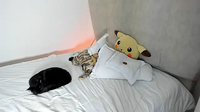 Snapshot of rachaeldeckard__ chatting on 01/25/25, 08:10 rachaeldeckard online show from 01/25/25, 08:10