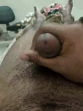 chinchi online show from 02/17/25, 11:34