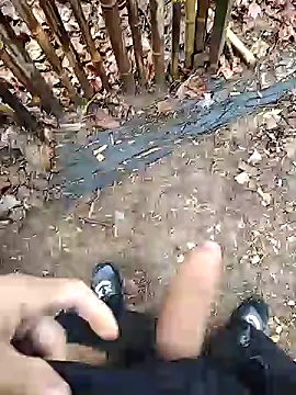 puertordic online show from 12/29/24, 01:38