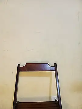 bibiazinhaaa online show from 02/20/25, 03:56