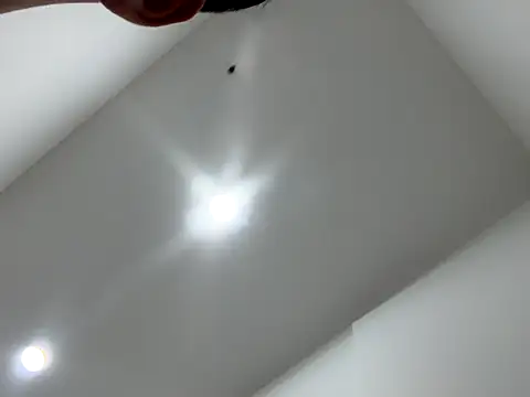 Snapshot of Sexocokin chatting on 12/16/25, 01:16 Sexocokin online show from 12/16/25, 01:16