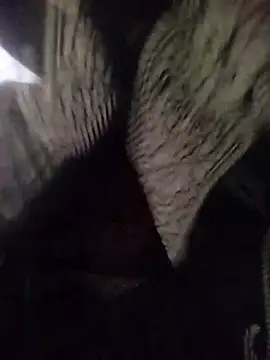 Snapshot of muskan-Sharma chatting on 03/18/25, 04:04 muskan-Sharma online show from 03/18/25, 04:04