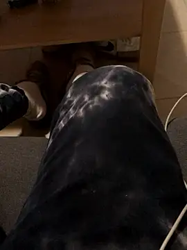 Snapshot of josueswvillaA1 chatting on 01/12/26, 03:06 josueswvillaA1 online show from 01/12/26, 03:06