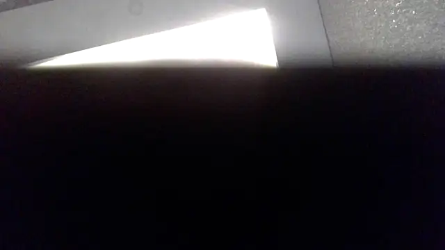 Snapshot of Wild00Bird chatting on 10/17/25, 10:23 Wild00Bird online show from 10/17/25, 10:23