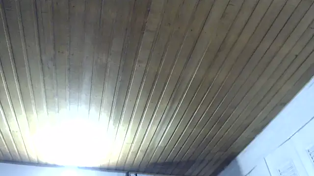 CamilaLix online show from 02/13/25, 11:37