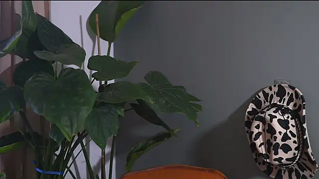 HairyRobxxx online show from 09/20/25, 10:05