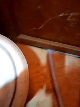 Snapshot of javierpasteur69 chatting on 10/30/25, 05:31 javierpasteur69 online show from 10/30/25, 05:31