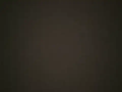 Snapshot of RODRI_POLLADURA chatting on 01/31/25, 11:56 RODRI POLLADURA online show from 01/31/25, 11:56