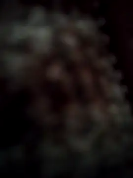 Snapshot of RODRI_POLLADURA chatting on 11/28/25, 02:42 RODRI POLLADURA online show from 11/28/25, 02:42