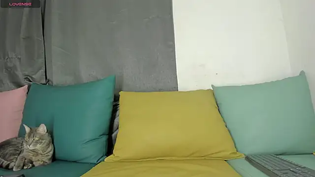 maison sofia1 online show from 01/07/25, 03:46