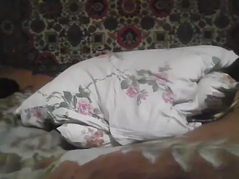 AlferezzSolvajo online show from 12/03/25, 06:17