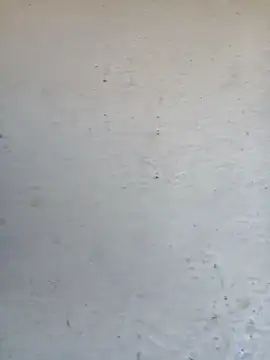 Pooja cut online show from 10/02/25, 03:35