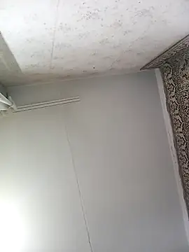 Lauren Amabel online show from 11/12/25, 08:30