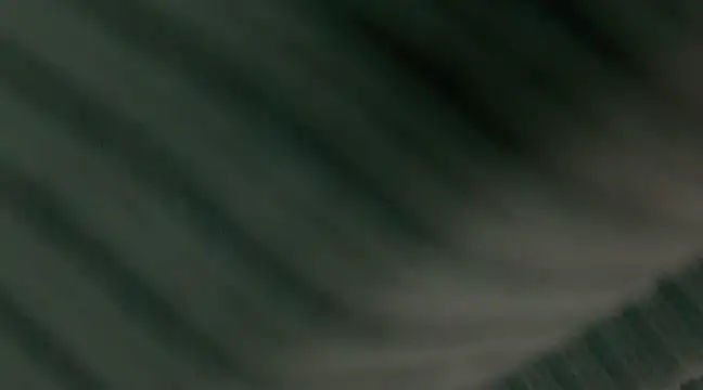 giselao online show from 01/15/25, 04:15