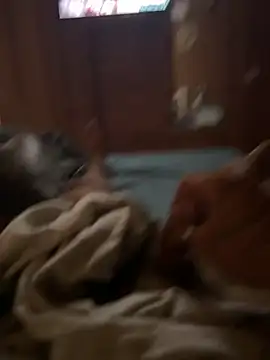 Snapshot of ferdi190 chatting on 10/11/25, 10:58 ferdi190 online show from 10/11/25, 10:58