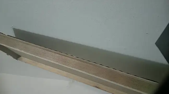 filthymind619 online show from 01/31/25, 05:09