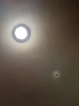 MrDaddyBbSnake online show from 01/28/25, 04:29