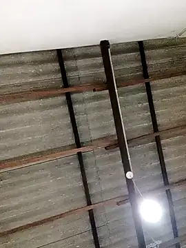 Queen princes online show from 02/23/25, 05:01