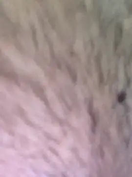 TOPMOON001 online show from 03/07/25, 06:24