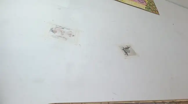 boysLittle online show from 02/14/25, 10:04