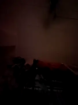 Snapshot of opkiller901 chatting on 01/12/25, 10:01 opkiller901 online show from 01/12/25, 10:01