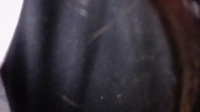 Snapshot of Sarita_v_ chatting on 02/06/25, 06:56 Sarita v online show from 02/06/25, 06:56