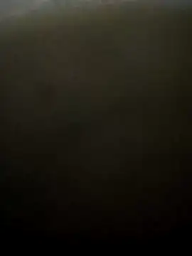 puneribull online show from 03/08/25, 08:46