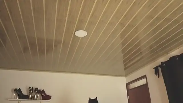 Renaxi Smith online show from 10/31/25, 07:59